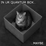 schrodingers-lolcat1